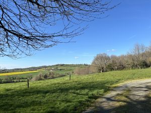 Chantonnay 06.jpg